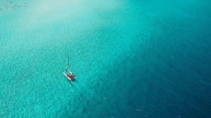 syd-sujuaan-1113331-unsplash.jpg