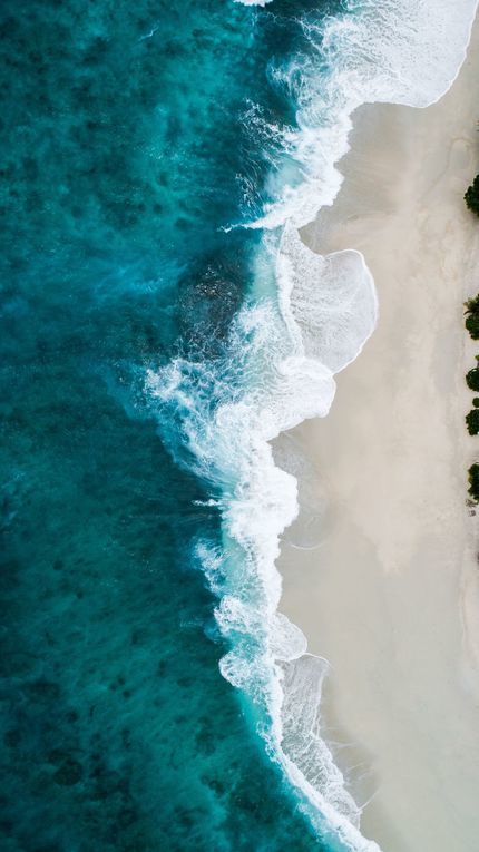 shifaaz-shamoon-370863-unsplash.jpg